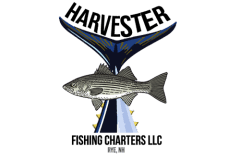 Bontra Web Logo Design - Harvester Fishing Charters